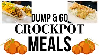 FALL CROCKPOT MEALS  SLOW COOKER DINNER RECIPES  DUMP AND GO MEALS  SIMPLE RECIPES [upl. by Arela]