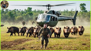 How Do Hunters And American Farmers Deal With Millions Of Wild Boars By Helicopter [upl. by Piegari]