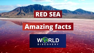 Red Sea  Why is Red sea called Red Seawhy the red sea is named redred sea and black seadead sea [upl. by Ennasil]