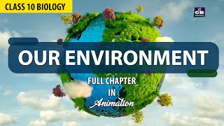 class 10 Our Environment Full chapter in Animation  CBSE Class 10 Biology ch 13  NCERT Science [upl. by Atnom]