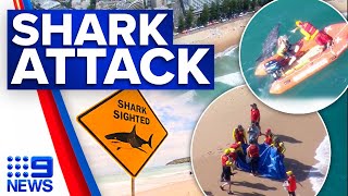 Dolphin fatally attacked by shark at Sydneys Manly Beach  9 News Australia [upl. by Nlycaj]