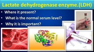 Lactate Dehydrogenase biochemistry LDHmedilabacademyCBC [upl. by Ayekahs]