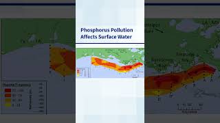 The Importance of Phosphorus Regulation [upl. by Treboh]