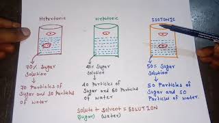 Hypertonichypotonic amp isotonic solutionmade easyHindi [upl. by Lewls817]