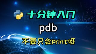 【python】来学学debugger吧，不能只会用print调试呀！ [upl. by Lesslie798]