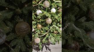 2024 christmas Do you like Green Christmas Tree with Gold decor  Yes  christmastree decor [upl. by Aislehc601]