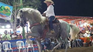 Torneo d caballos bailadores acá en La expoferia d Ciudad altamirano gro 23 [upl. by Ethelbert649]