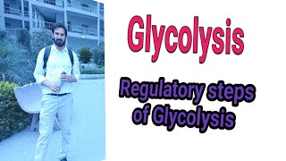 Glycolysis Regulation of Glycolysis Pathway Anaerobic vs Aerobic Glycolysis Net ATP in Glycolysis [upl. by Henigman]