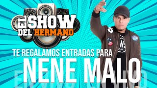 NENE MALO en VIVO  El SHOW del Hermano  RGM Stream [upl. by Ahsiki]