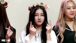 Momoland  Nancy Funny Moment Part 2 [upl. by Nasar11]