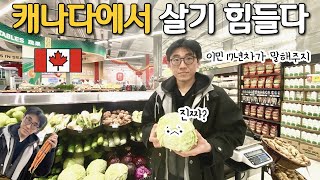 17년 전 밴쿠버와 지금의 밴쿠버의 차이  이민 1세대 맞벌이 부부 [upl. by Gwenni]