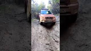 RAV4 Off Road 3 [upl. by Trescha]