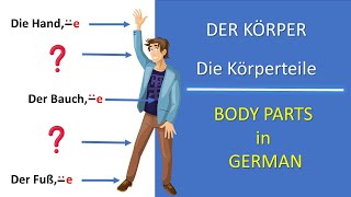 Der Körper  Die Körperteile  The body parts in German  Deutsch lernen [upl. by Lothar]