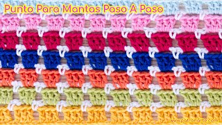 Punto Para Mantas a Crochet Multicolor y Reversible Paso a Paso [upl. by Ahrat]