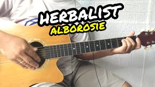 Herbalist  Alborosie  Guitar Tutorial With Lyrics and Chords [upl. by Haerdna70]