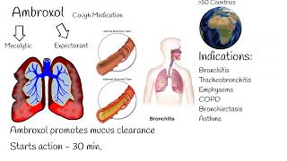 35 Important Emergency Medicines Uses Dose amp Route of Administration [upl. by Layap155]