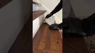 Chestnut stain 💥 flooring tips floorcovering wood floor home hardwoodflooring [upl. by Ahsiemal748]