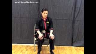 Tai Chi HowTo Quick amp Easy Way to Treat Knee Pain or Stiffness  from wwwInternalGardenscom [upl. by Nayarb]