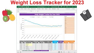 Daily Weight Tracker Spreadsheet for 2023  Track Your Weight Loss Journey in Simple Excel Charts [upl. by Reffotsirk]