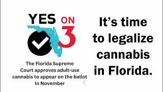 Yes on 3 Florida Amendment Ballot Initiative in 2024 [upl. by Eenerb58]