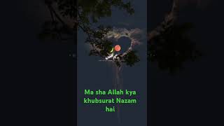 HUROOF ETAHAJJI best nazam Islamic official world 786 par [upl. by Anitnauq]