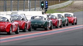 Austin Healeys at the British Race Festival in Zandvoort 2017 [upl. by Enileuqcaj541]