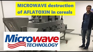 Aflatoxin destruction by MICROWAVE radiation [upl. by Abdel]