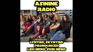 Lynyrd Skynyrd  Pronounced Lehnerd Skinnerd [upl. by Cordi]