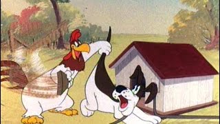 70 Years of Foghorn Leghorn [upl. by Gravante]