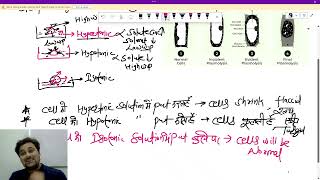 PLASMOLYSIS AND ITS STAGE EXPLAINED IN HINDI PLANT PHYSIOLOGY CLASS 11TH BIOLOGY [upl. by Dnalloh]