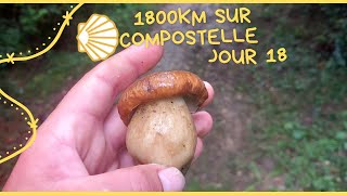 1800km sur compostelle jour 18 Orthez Saint Palais 36km voiedevezelay [upl. by Araed24]