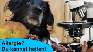 Futterintoleranz Unverträglichkeit oder Allergie beim Hund So kannst du deinem Hund helfen [upl. by Tamis417]