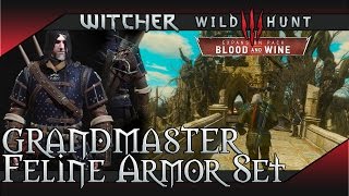 The Witcher 3 Blood and Wine  Grandmaster Feline Cat School Gear Set Location [upl. by Inaluahek]