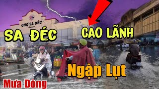 Mưa Bão Sấm Chớp Nước Ngập Lụt Chợ Sa Đéc Chợ Cao Lãnh Đồng Tháp Đầu Nguồn Mekong Lũ Tràn Về [upl. by Dyraj387]