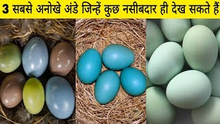 ये हैं दुनिया के 3 सबसे अनोखे अंडे 🥚 जिन्हें कुछ नसीबदार लोग ही देख सकते हैं 😱  Most Beutiful Eggs [upl. by Anaiuq221]