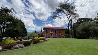 4K  Le Jardin Parque de Lavanda  Gramado RS  Janeiro 2024 [upl. by Ahsinhoj]