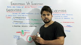 Endocytosis Vs Exocytosis  Active Transport Types [upl. by Alleroif]