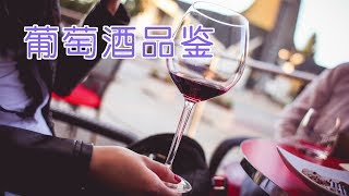 葡萄酒品鉴误区有哪些？葡萄酒知识Basic Wine KnowledgeTaste Wine [upl. by Enilrem720]