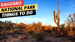 Saguaro National Park  18 TOP Things To Do amp 9 ESSENTIAL Tips [upl. by Timmons]