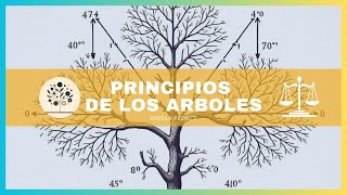 LOS 7 PRINCIPIOS QUE RIGEN LOS ÁRBOLES [upl. by Socha833]