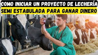 COMO INICIAR UN PROYECTO DE lechería semi estabulada para ganar dinero [upl. by Hodosh492]