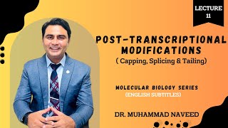 PostTranscriptional Modifications  Capping  Splicing  Tailing  Lecture 11  Dr Muhammad Naveed [upl. by Theone]