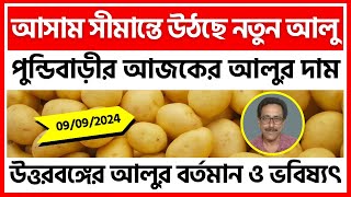 090924  কোচবিহারের পুন্ডিবাড়ীর আজকের আলুর দাম  Potato Price in Pundibari NB  India Potato [upl. by Aceber362]