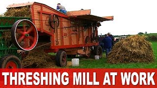 Threshing the Harvest 1960s Style in Ireland using Vintage Fordson Major Tractors [upl. by Bonnice293]