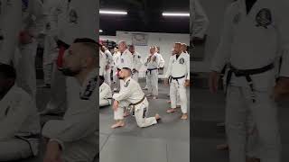 Royce Gracie Seminar 2023 [upl. by Rola]