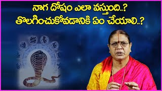 నాగ దోషం ఎలా వస్తుంది తొలగించుకోవడానికి ఏం చేయాలి  Naga Dosham Pariharam By KV Ranganayakamma [upl. by Way]