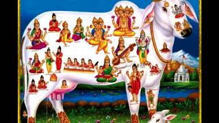 KAMDHENU COW MANTRA FOR FULL FILL DESIRES amp PLEASURE  गाय माता मन्त्र [upl. by Henriette]