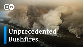 Australia bushfires  a national catastrophe  DW News [upl. by Irwin]