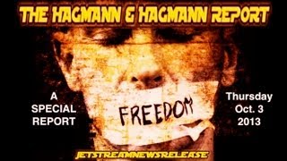 Bahman Nassiri on The Hagmann amp Hagmann Report  Oct3 2013 [upl. by Atir683]