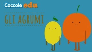 🍊Gli agrumi 🍋 Tutto ciò che cè da sapere  Coccole Edu [upl. by Anelam510]